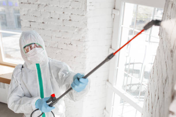 Best Residential Mold Inspection & Testing  in Port Richey, FL