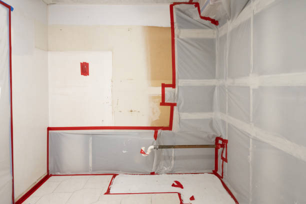 Best Environmental Consulting for Mold Prevention  in Port Richey, FL