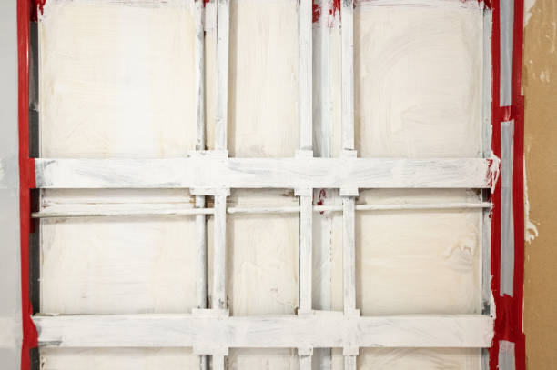 Port Richey, FL Mold Removal Company
