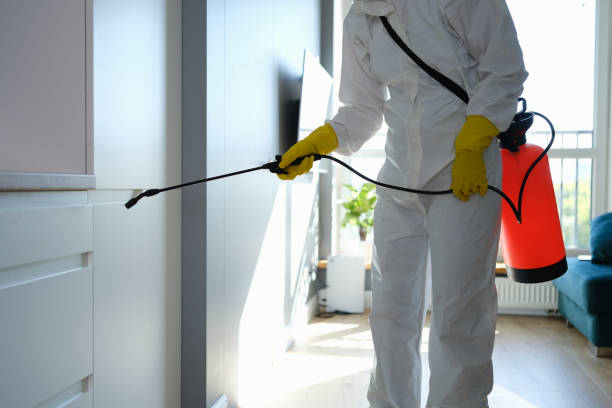 Best Crawl Space Mold Remediation  in Port Richey, FL