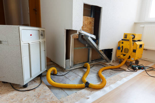 Best Emergency Mold Remediation  in Port Richey, FL