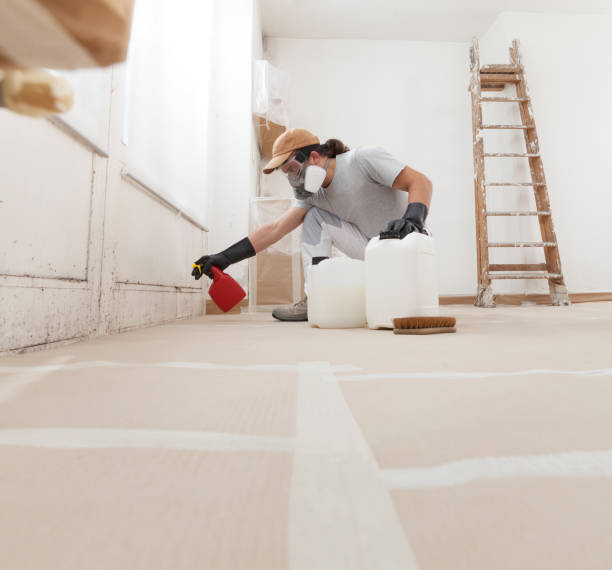 Best Mold Documentation for Insurance Claims  in Port Richey, FL
