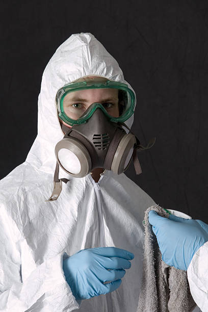 Best Airborne Mold Testing  in Port Richey, FL